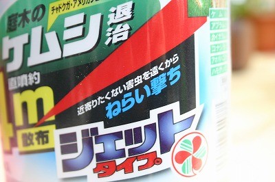 マイマイガと戦う！ 改訂版）～早撃ちマック