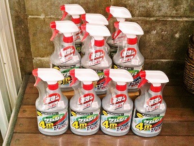 これで最後。マイマイガ