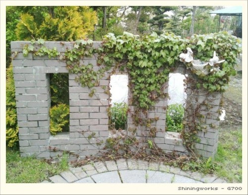 張ってツタって