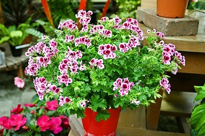 ファザーズ・デイ♪♪