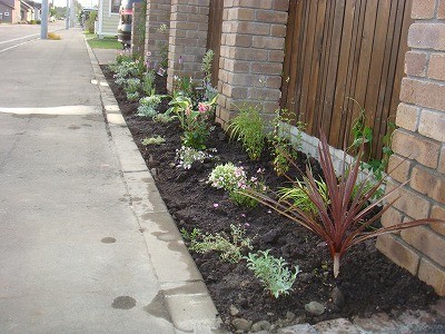 暑い日でした。けど花を植えました。