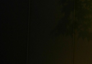 夜にならナイト・・・ｍｍｍ