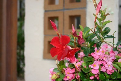 「お花を飾ろう」