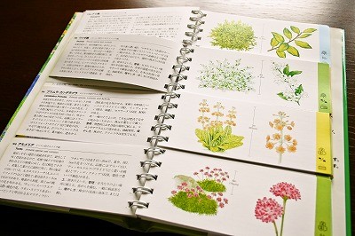 地デジになってもアナログ