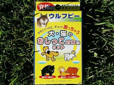 オオカミのおしっこ？？