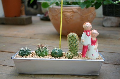 いつもありがとう!