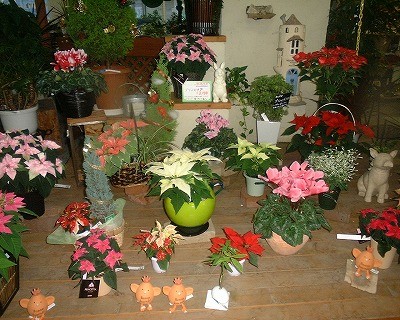 贈り物には・・・