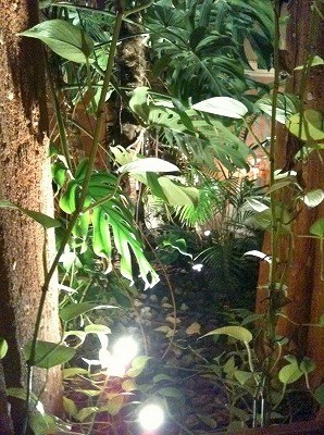 O2シャワーを浴びて