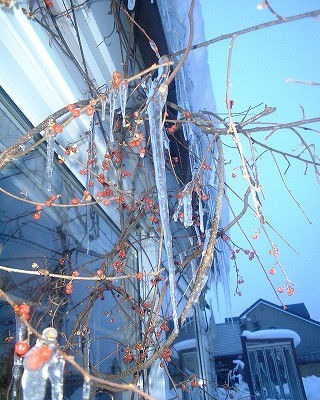 もういくつ寝ると・・・