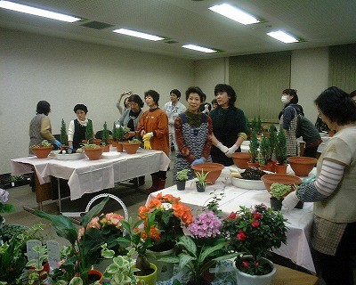 冬に楽しむ寄せ植え