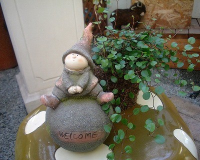 この雑貨かわうぃー！