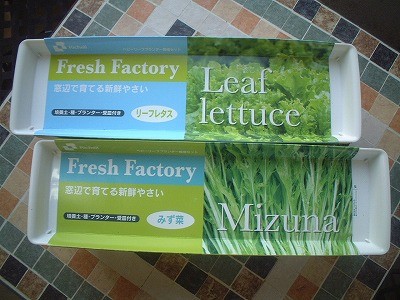 Fresh Factory