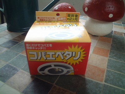 コバエペタリ