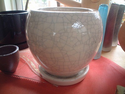 ひび模様が素敵