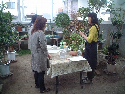 土を使わない寄せ植え？！