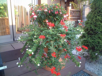 本日もセール行ってます！