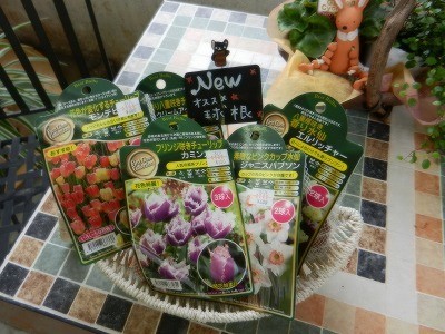 来春のお楽しみ