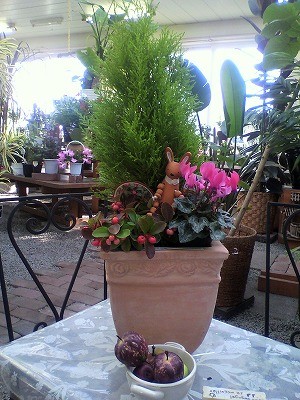 もうそろそろクリスマス!