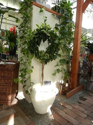 ふ入りも良いカンジ