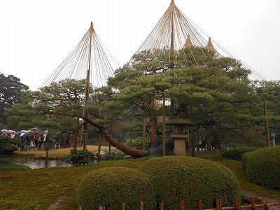 金沢旅日記　　兼六園