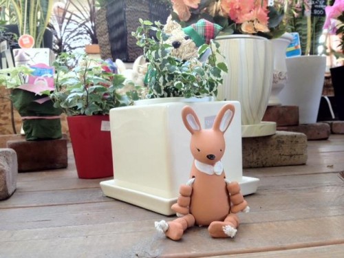 乾燥してますね