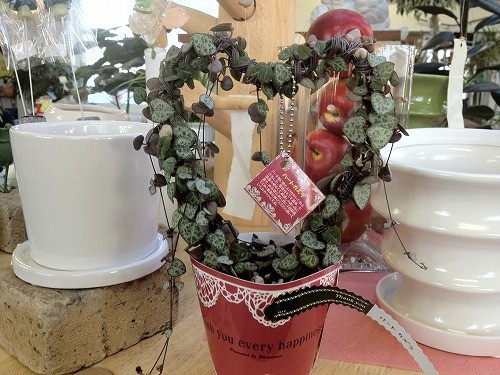 まだ間に合うホワイトデー