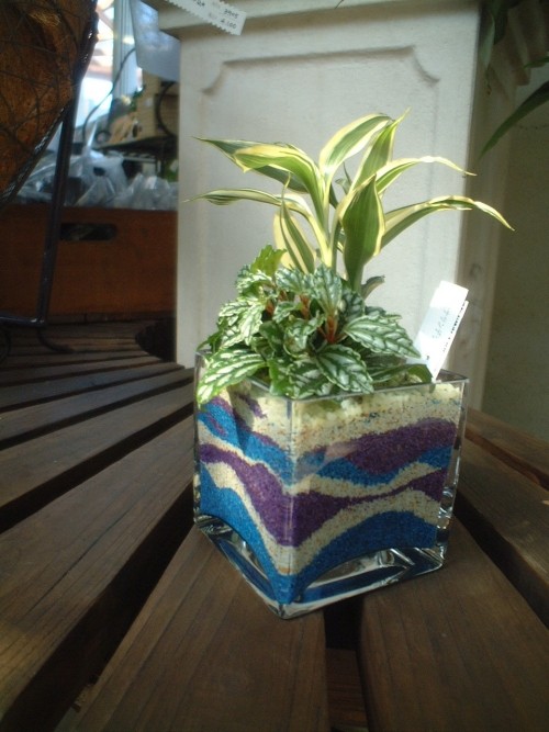 親子でガーデニング！！