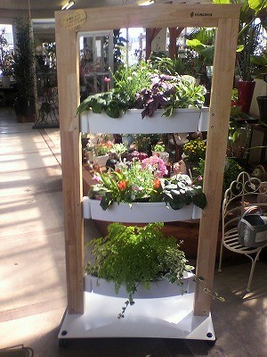 お店にいかがですか？