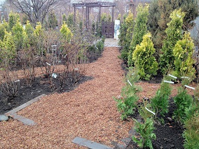 ウッドチップのある暮らし