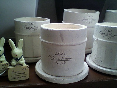 新しい鉢入荷しました！