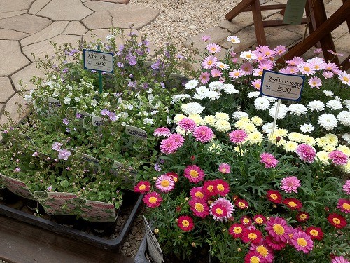 早く植えたいな♪