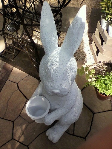 花柄のバニーちゃん入荷中！