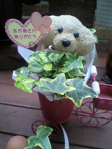 5月１３日は母の日です！！