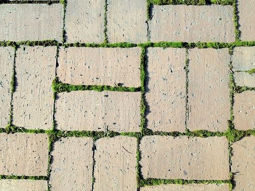 昨日は凄かったですね。