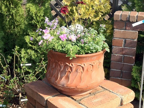 コンテナガーデンを楽しもう！