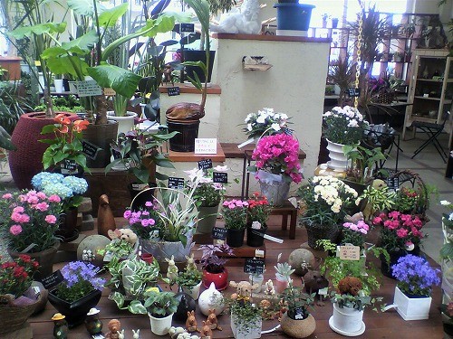 母の日バージョン！！