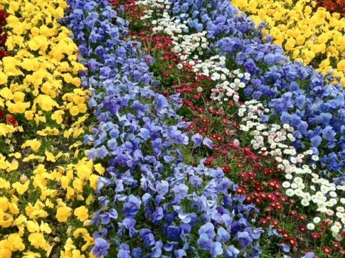 おうちに花壇を作ろう！