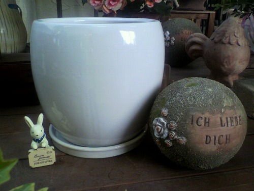 新しい鉢入荷しました