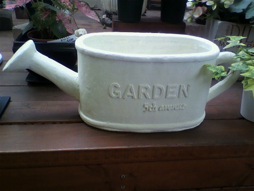 ジョウロ型の鉢入荷中