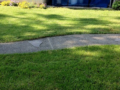 昨日は暑かったですね