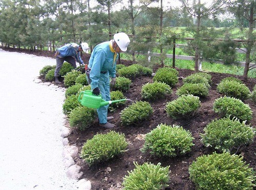 夏バテには・・・
