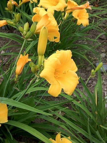 これは使える！