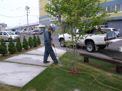 芝生にも活力を！