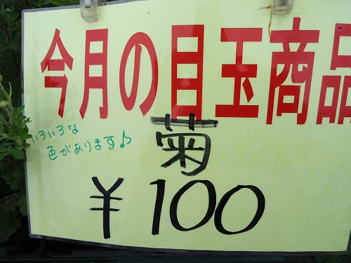 今月の目玉商品