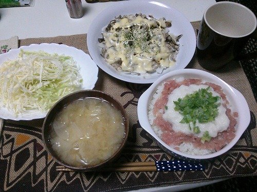 昨日のうちごはん