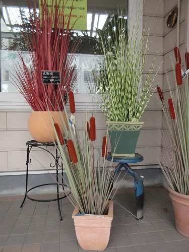 とても人気があります!