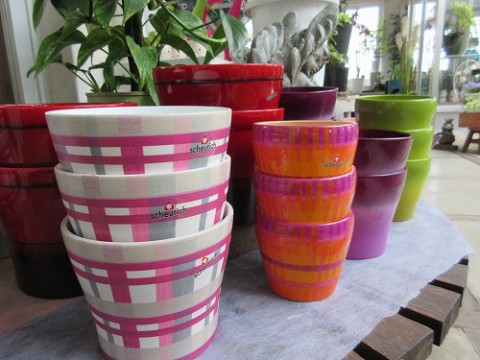 カラフルな鉢