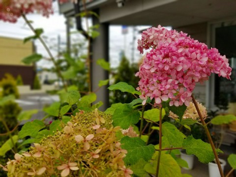 夏季休業のお知らせ