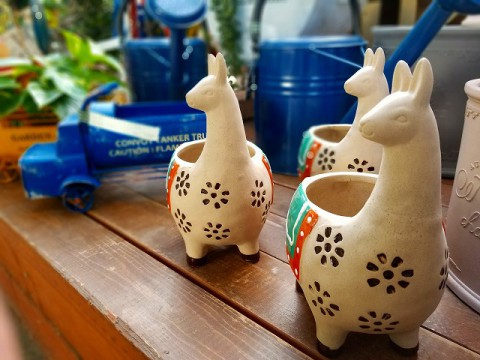 【入荷情報】リャマプランター