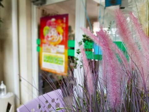 【入荷情報】キャットテールバスケット